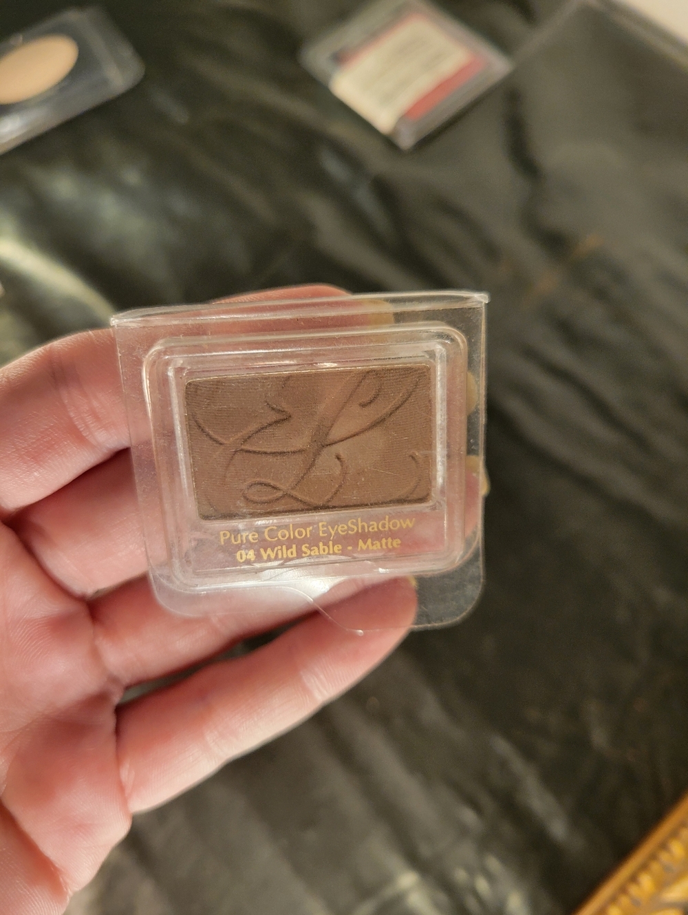 Estee Lauder Pure Color Single Eyeshadow in the shade 04 Wild Sable - Matte